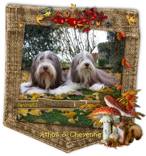 ♥Bonne semaine d' Athos & Cheyenne♥