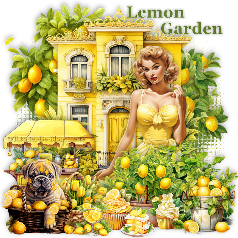 Lemon Garden