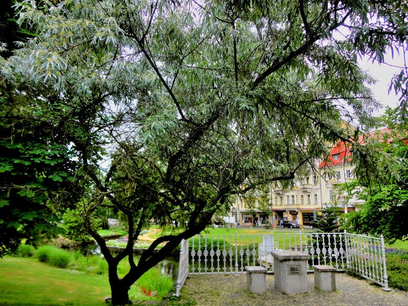 LE 27 JUILLET PLUIE A MARIENBAD