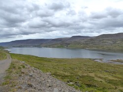 16 juin, de Djúpidalur à Tálknafjörður