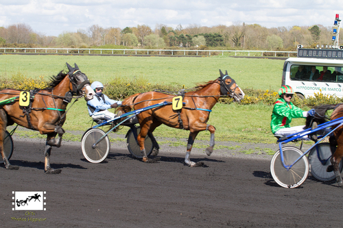 PRIX PIERRE PARIS