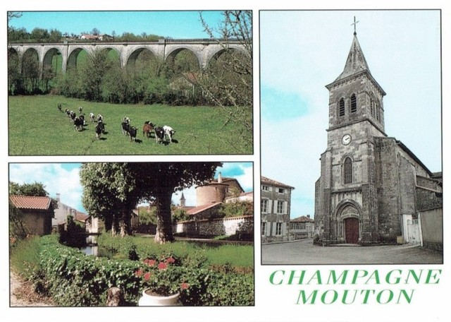 Blog de sylviebernard-art-bouteville : sylviebernard-art-bouteville, CHAMPIONNAT DE FRANCE ENDURO - Champagne-Mouton 2015