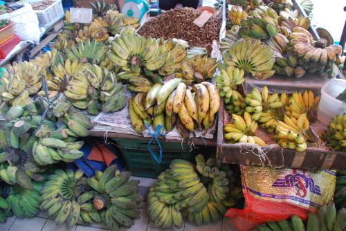 Mercredi 17 juillet Rendez-vous en terre inconnue chez les Iban