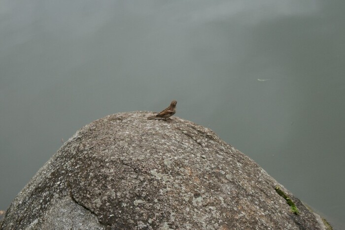 Balade au bord du petit lac