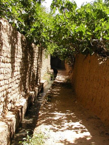 Jardins de Tadjmout