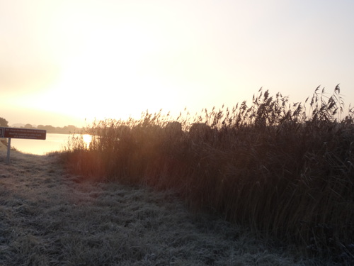 Ce matin il gèle sur les marais salants