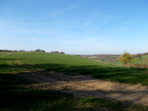  * Paysages bucoliques du Kent