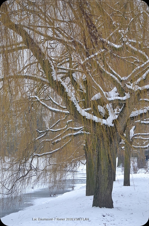 La neige de retour ce vendredi 9 février dans le nord de la France !