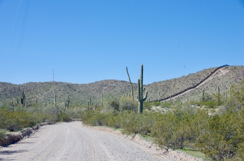 Jour 13 - Organ Pipe Cactus National Monument Arizona