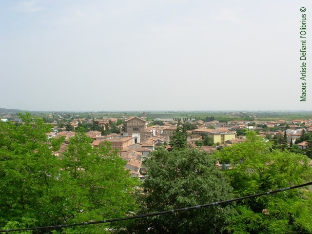 Valeggio-sul-Mincio-vue-du-chateau.JPG