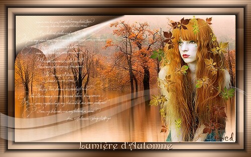 Lumière d'automne