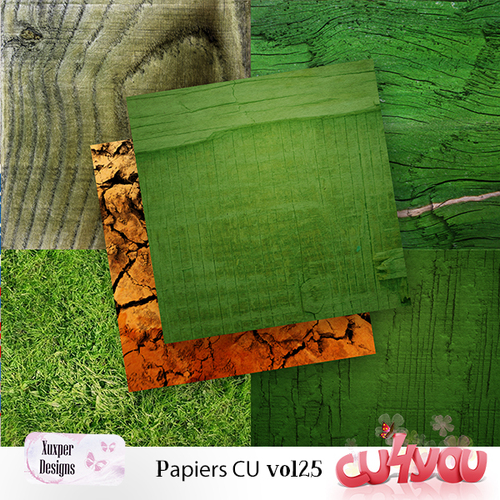 Papiers Cu vol 25, 26, 27, 28