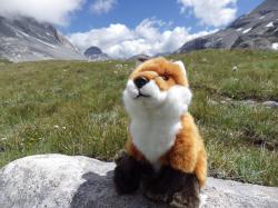 mascotte en montagne