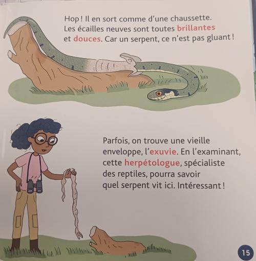 photos 7/11 serpents livres 