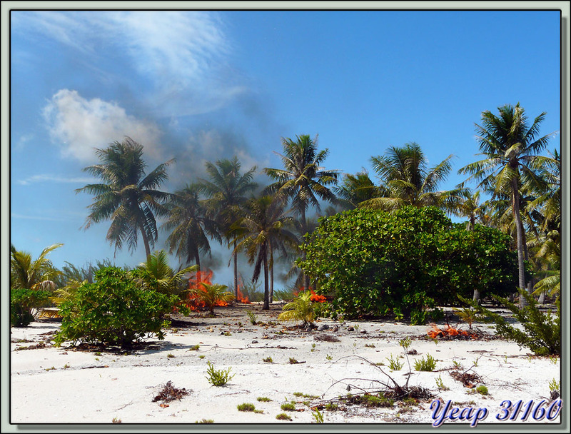 Incendie sur le Motu Fatonu - Atoll Tikehau - Archipel des Tuamotu - Polynésie française