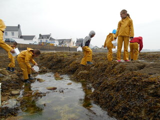 Pêche à pied