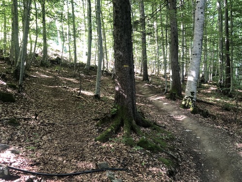 Au pied de la Chau (Saint Jean - Montclar)