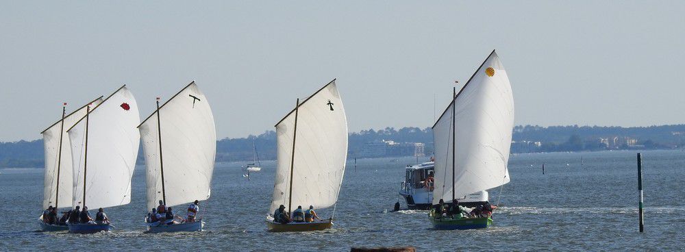 Voiles en liberté 2024 à Andernos - Le départ des pinassottes...