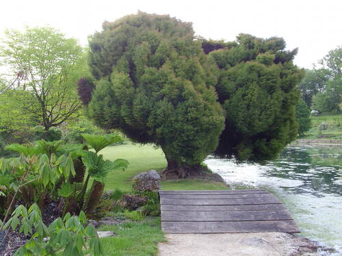 Jardins du Plessis Sasnière