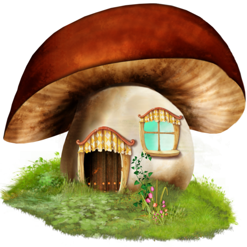 maison fairy champignon