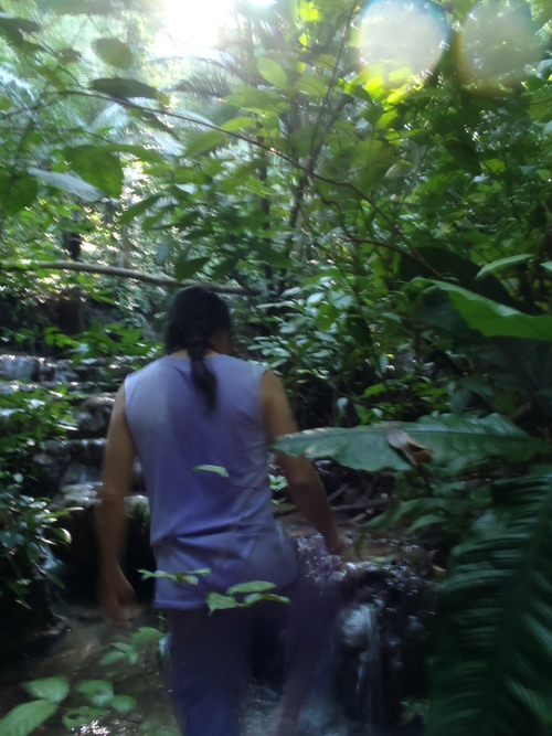 La vie dans la jungle / Mowgli's life