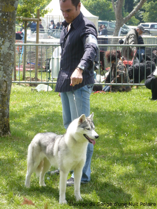 Elouka à l'exposition de Castelnaudary