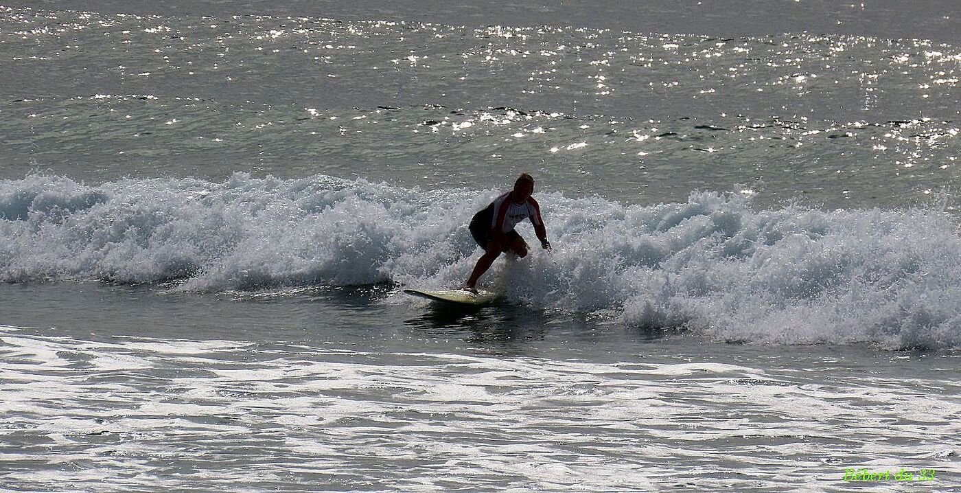 du surf  à Soorts Hossegor