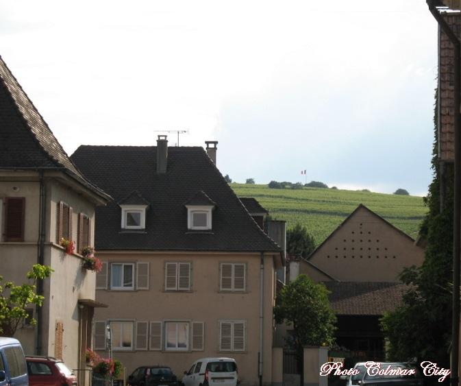 Bennwihr : Vue sur la nécropole