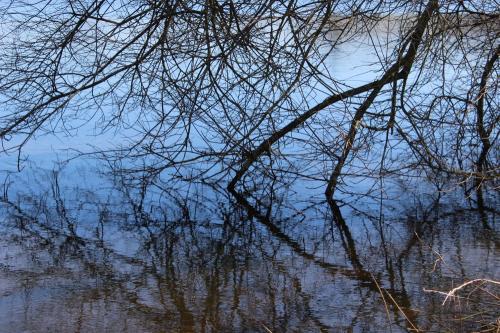 Baraqueville : les reflets du lac