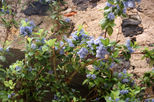 03.05.2022.Rando Saint Saturnin.