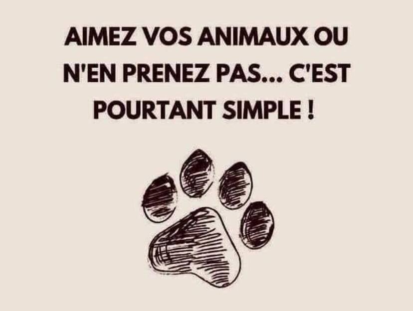 Un petit rappel