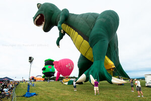 season balloons dinosaurs balloons 