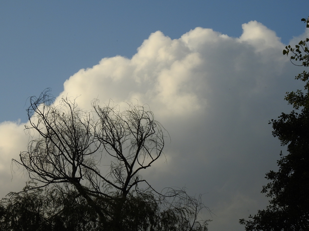 Un beau ciel