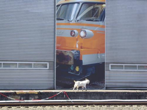 La cité du Train II