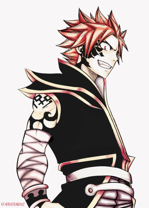 Natsu Dragnir (prit)