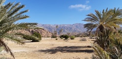 Sur la route de Sidi-Ifni