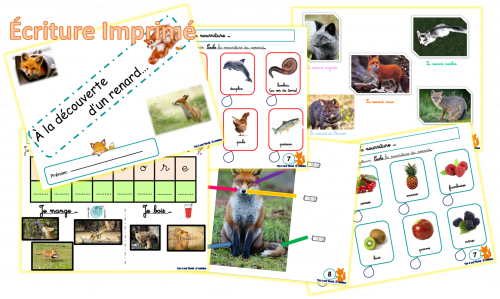 le petit prince qui rencontre le renard