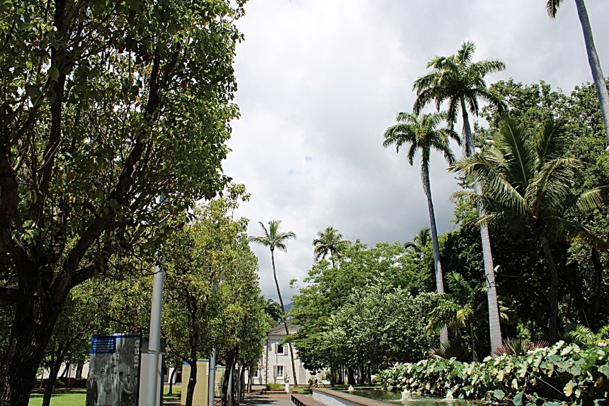 12/9/22 : JARDIN DE L'ETAT A SAINT-DENIS (5/6)