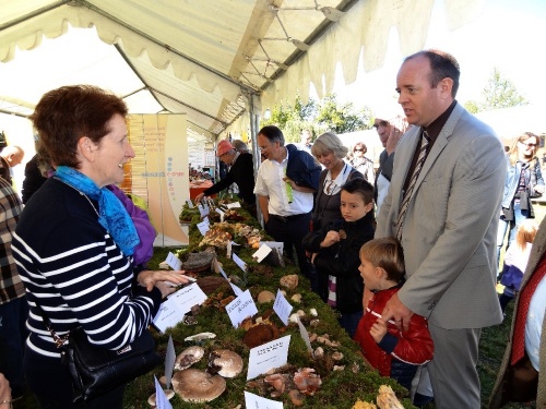 La fête de l'automne 2012 a eu lieu dimanche 30 septembre ...