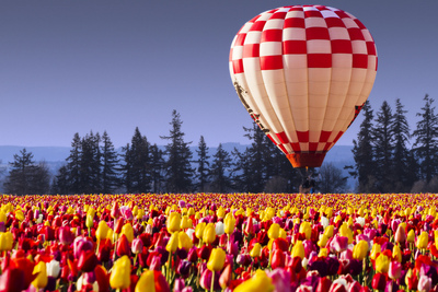 season balloons spring balloons 