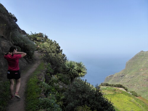 Santa cruz de tenerife et parc de L' Anaga