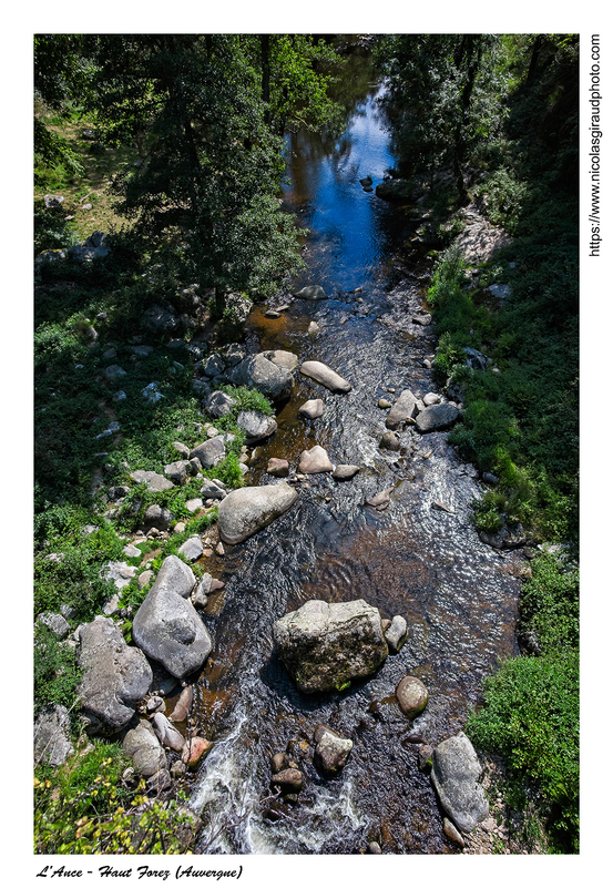 Haut Forez de Monpeloux à Chalacon (AURA)