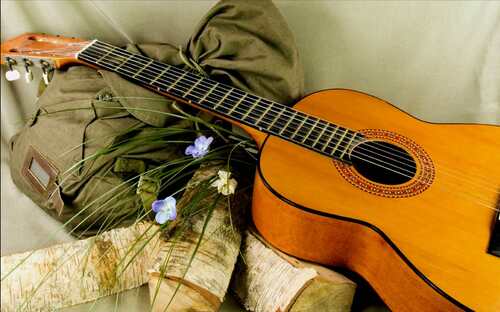 Instruments et fleurs