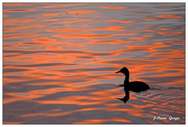 Encore de très belles photos de Jean-Pierre Gurga : crépuscule au lac de Marcenay...