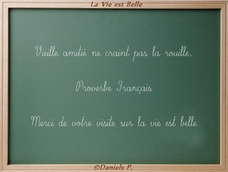 citation amitie indestructible