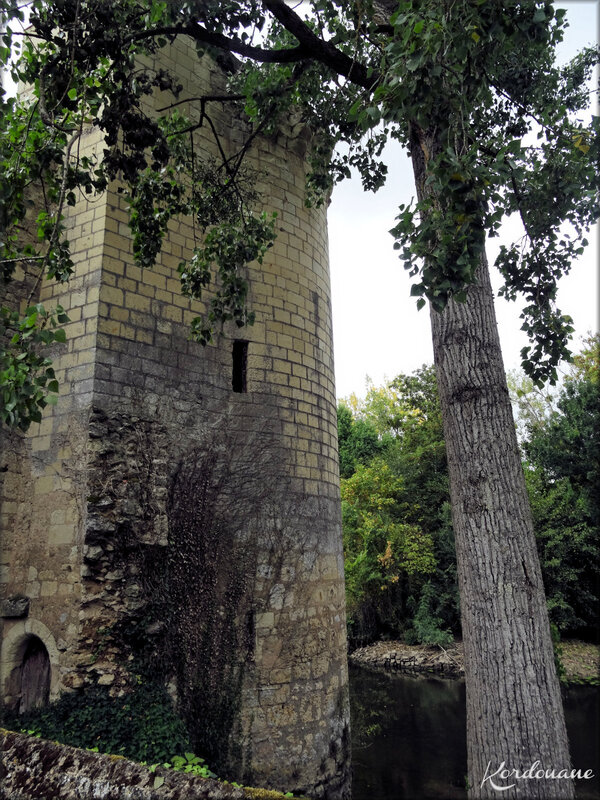 Photo de la Tour du Boile ou Boëlle - Montreuil-Bellay