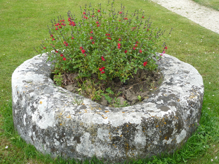 Château de Crazannes (17)