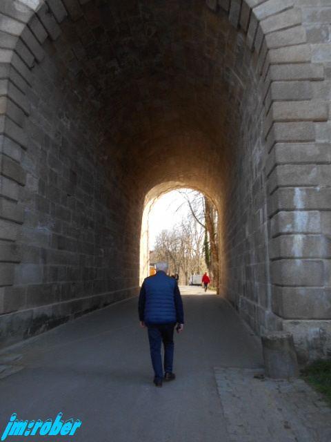 Balade printanière sur les bords de Vienne (2)