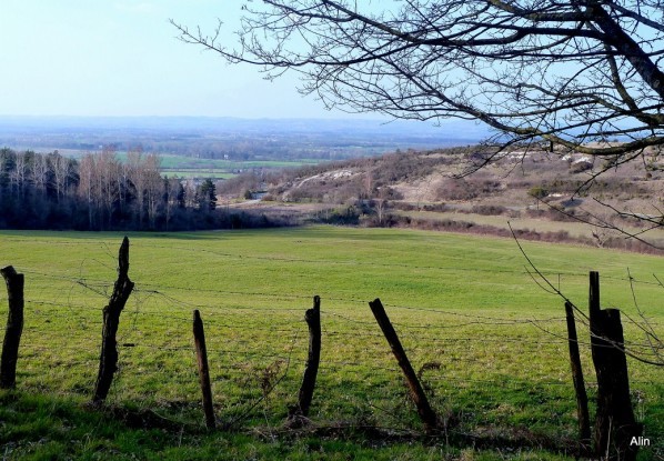 y01 - Campagne