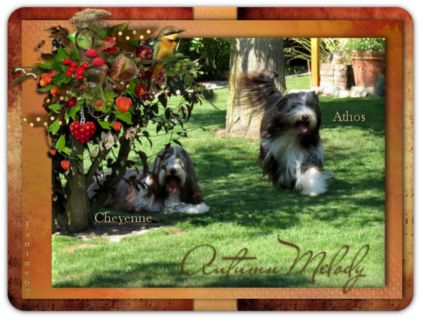 ♥ Bonne semaine d' Athos & Cheyenne ♥